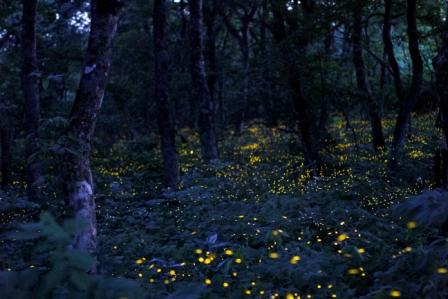 折爪岳からの眺望