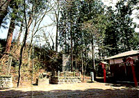 呑香稲荷神社境内の画像