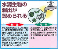 水源生物の漏出が認められる