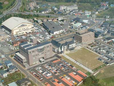 荷渡地区の航空画像